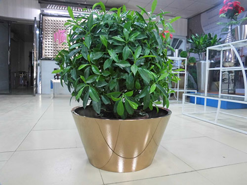 廣東汕頭不銹鋼花盆哪家做的好？